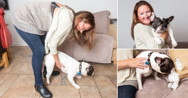 Salvando cachorro engasgado