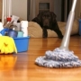 Como tirar o cheiro dos animais de sua casa?