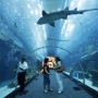 Qual o maior aquário do mundo para visitação?