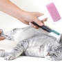 Como reduzir as bolas de pelo no seu gato?