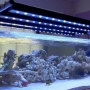 Iluminação para aquário, como fazer?