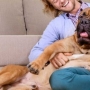 8 dicas para quem quer ter cachorro grande em apartamento