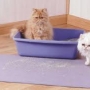 Caixinhas de areia higiênica para os gatos