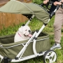 Como escolher um carrinho de passeio para cachorro?