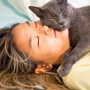 Remédio para gato dormir funciona? É perigoso?